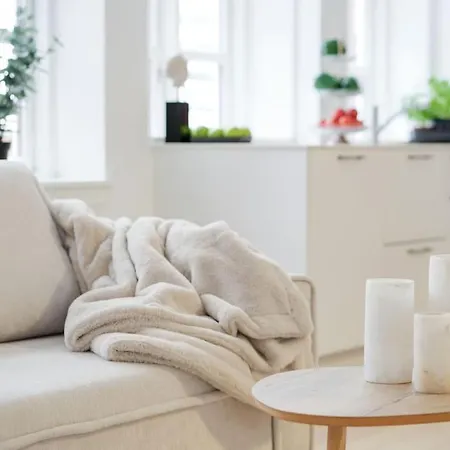 Luxury In Apartment Copenhagen